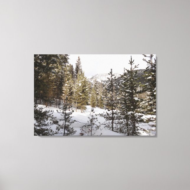 Winter Snowy Mountain Scene in Montana Canvas Print (Front)