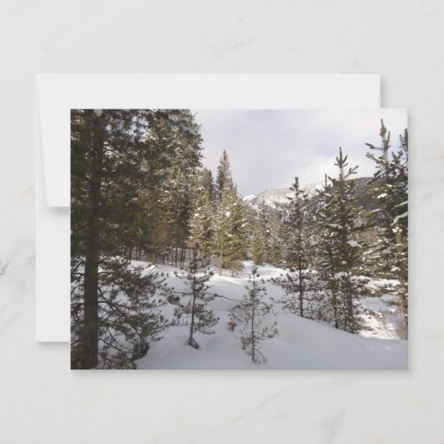 Winter Snowy Mountain Scene in Montana Holiday Card (Front)