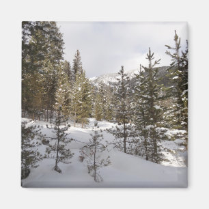 Winter Snowy Mountain Scene in Montana Magnet