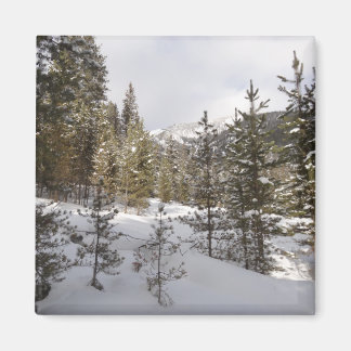 Winter Snowy Mountain Scene in Montana Magnet