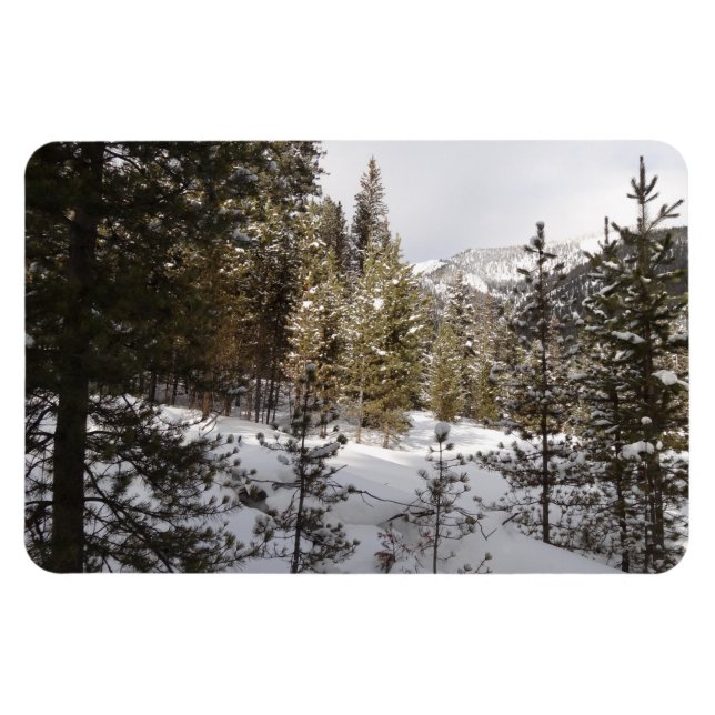 Winter Snowy Mountain Scene in Montana Magnet (Horizontal)