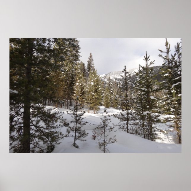 Winter Snowy Mountain Scene in Montana Poster (Front)