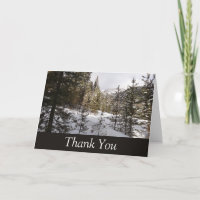 Winter Snowy Mountain Scene in Montana