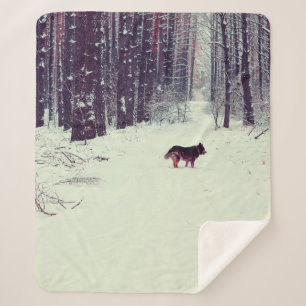 Winter snowy pine forest, dog walking in the fores sherpa blanket