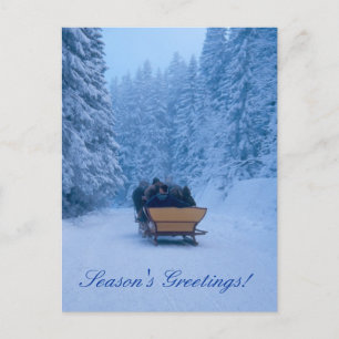 Winter Snowy Seasons Greetings! Holiday Postcard