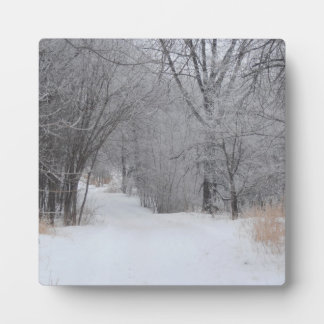 Winter Solitude Plaque