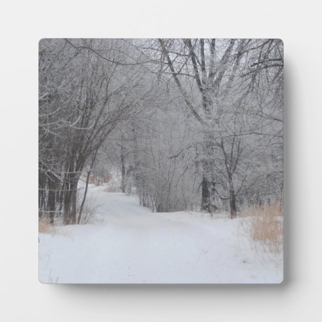 Winter Solitude Plaque (Front)