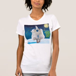 Winter Solstice Dance 2012 - Ladies Casual Scoop T-Shirt