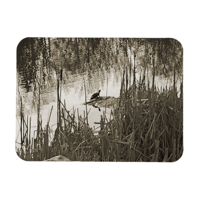 Winter Solstice Magnet (Horizontal)