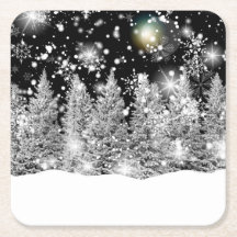 Winter Solstice Snowfall 