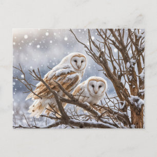 Winter Solstice Yule Owls Snow Holiday Postcard