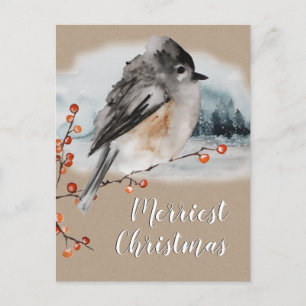 Winter Sparrow Ilex Berries Branch Woodland Scene Postcard