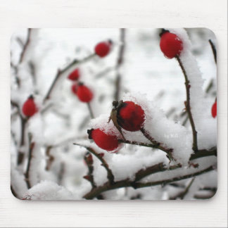 Winter Spirit Mouse Pad