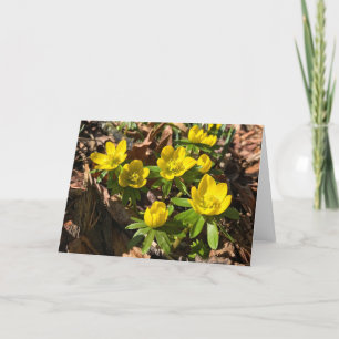 Winter / Spring Greeting Card (Blank Inside)