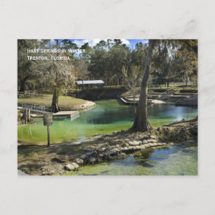 Winter Spring Postcard