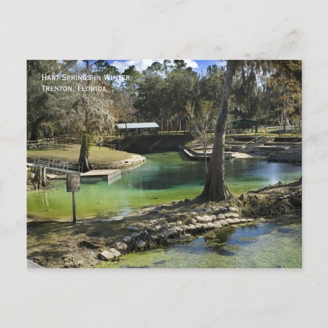 Winter Spring Postcard (Front)