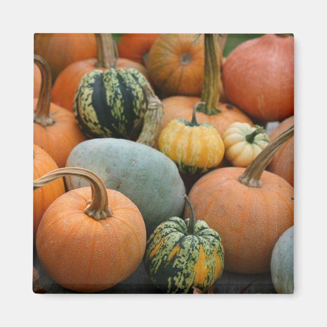 Winter Squash Magnet (Front)