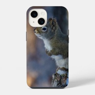 Winter Squirrel, Brown Animal, Canadian Photograph iPhone 14 Case