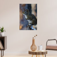 Winter Squirrel, Brown Animal, Canadian Photograph