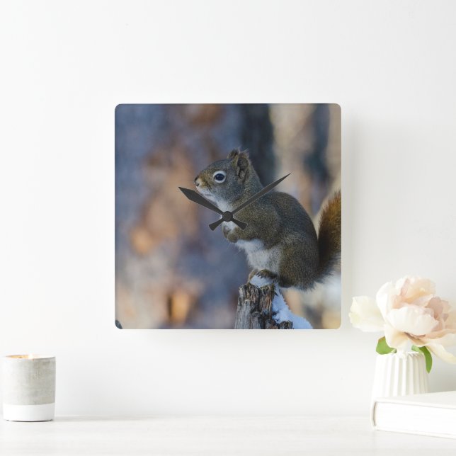 Winter Squirrel, Brown Animal, Canadian Photograph Square Wall Clock (Home)