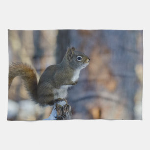 Winter Squirrel, Brown Animal, Canadian Photograph Tea Towel