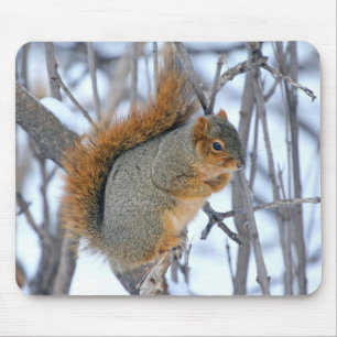 Winter Squirrel Mouse Pad