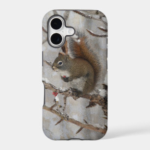Winter Squirrel, Snow & Red Berries Xmas Design