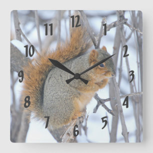 Winter Squirrel Square Wall Clock