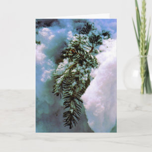 'Winter Still-life' Holiday Card- Nature's Beauty Card
