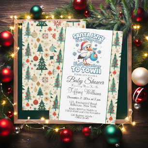 Winter Stork Precious Announcement Baby Shower