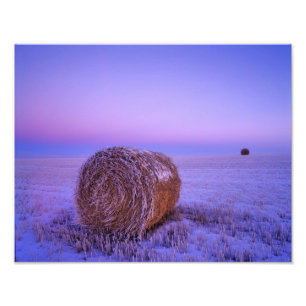 Winter Straw Bales near Cartwright North Photo Print