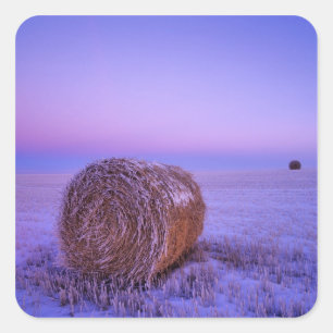 Winter Straw Bales near Cartwright North Square Sticker