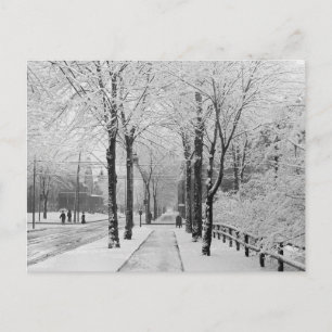 Winter Street Scene, 1910 Postcard