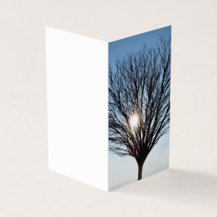 winter sun