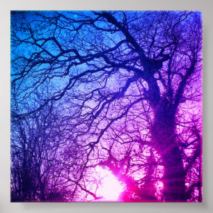Winter Sun and Purple Trees Poster