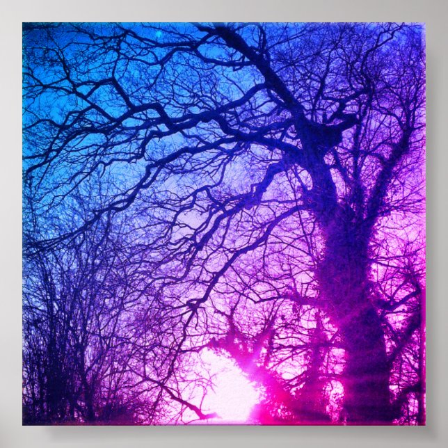 Winter Sun and Purple Trees Poster (Front)