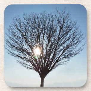winter sun coaster