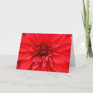 Winter Sun Greeting Card