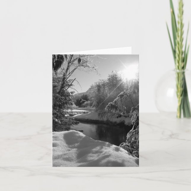 Winter Sun Note Card, Blank Inside Card (Front)