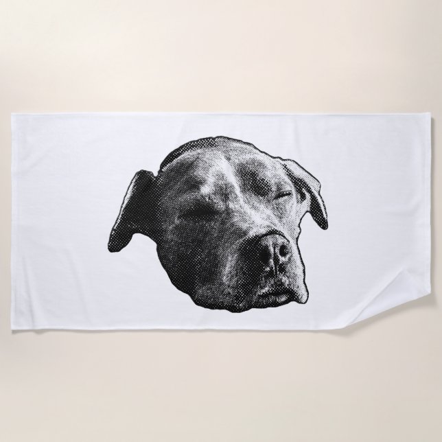 Winter Sun Pause Beach Towel (Front)