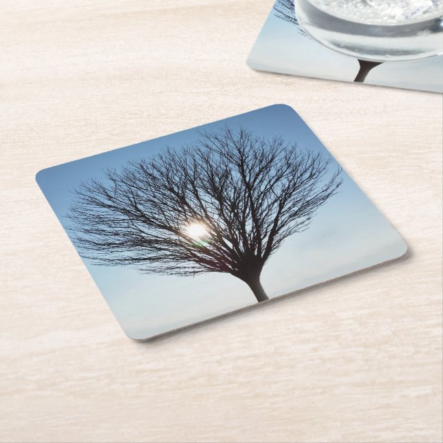 winter sun square paper coaster (Angled)