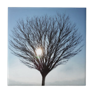 winter sun tile