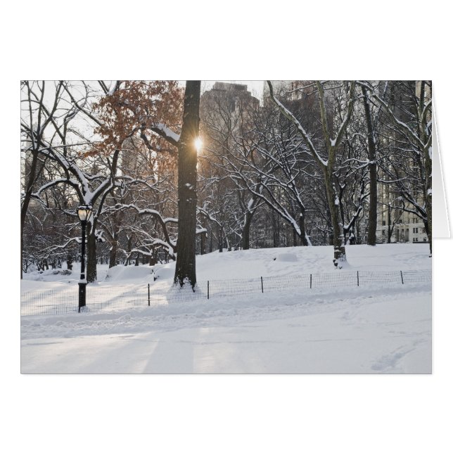 Winter Sunlight Central Park (Front Horizontal)
