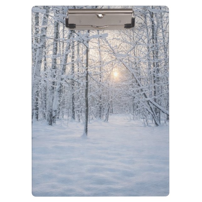 Winter Sunlight in Quiet Birch Forest Clipboard (Front)