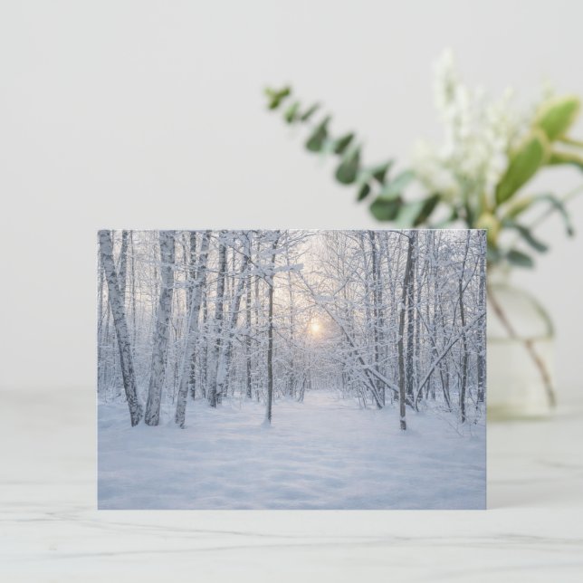 Winter Sunlight in Quiet Birch Forest Enclosure Card (Standing Front)