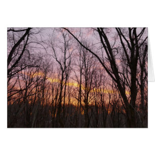 Winter Sunrise II
