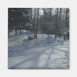Winter Sunrise Magnet