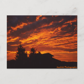 Winter Sunrise Postcard