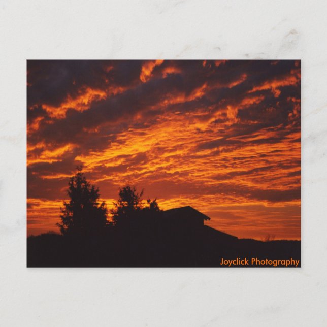 Winter Sunrise Postcard (Front)