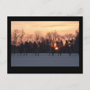 Winter Sunrise Postcard